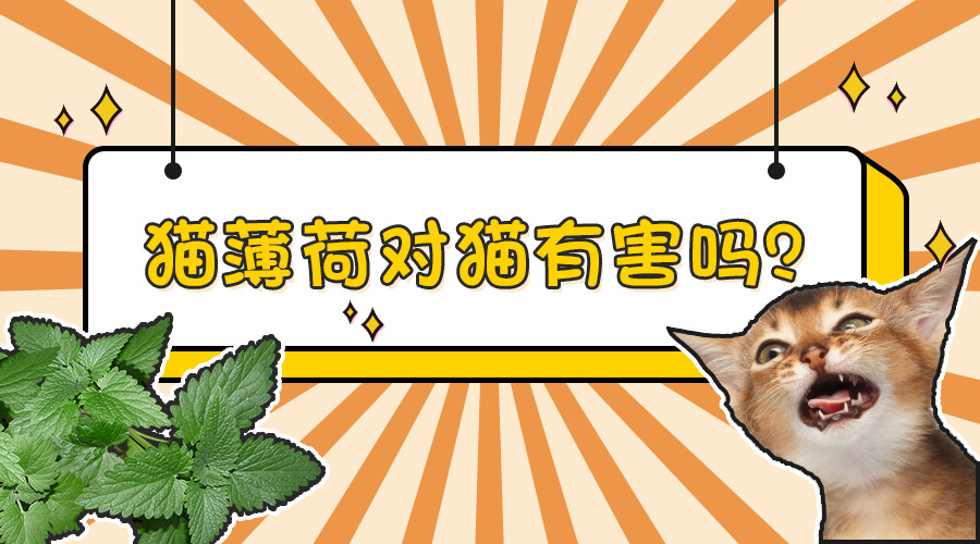 微信图片_20210408101724.jpg