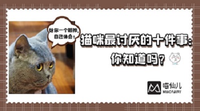 图怪兽_51a1a15f253619ea13258074f5c89eb7_31964.jpg
