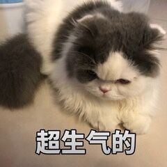 QQ图片20210825140857.jpg