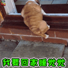 新建文件夹IMG_8351.GIF