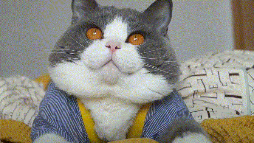 927721ab7dd9a7348c01d704225c9501.gif
